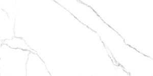 Гордость / Pride белый  6260-0212 керамогранит 300x600