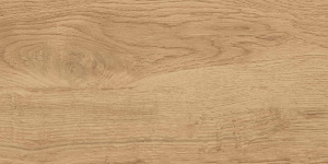 Флорида / Florida бежевый GT220VG керамогранит 300х600