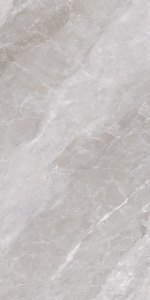 Аккорд / Accord светло-серый GT120607215PR керамогранит полированный  600х1200