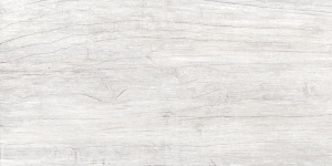 Шторм / Storm светло-серый GT223VG керамогранит 300х600