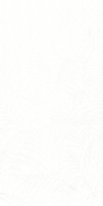 Фёрнс белый 18-00-00-1600 плитка облицовочная 300х600х9