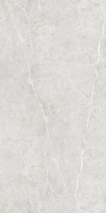 Идеал / Ideal светло-серый GT1206020506LGR керамогранит 600х1200 